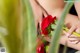 A woman holding a red flower in her hand.